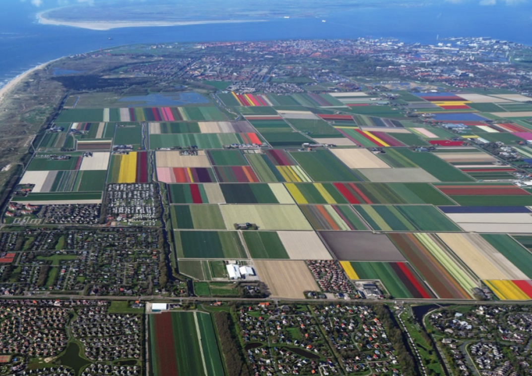 Headerafbeelding Regio Kop van Noord-Holland